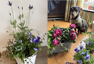 ☆　直近１週間のＸより