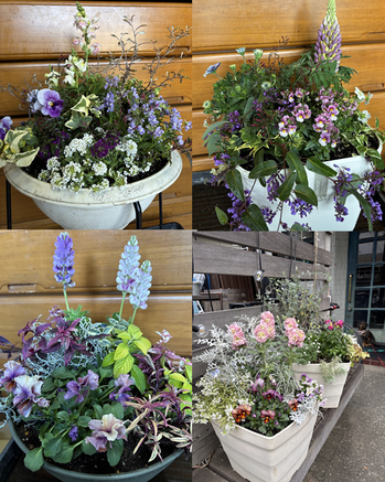 ☆　直近１週間のＸより