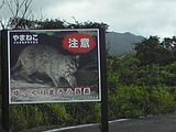 ce08fc05.jpg