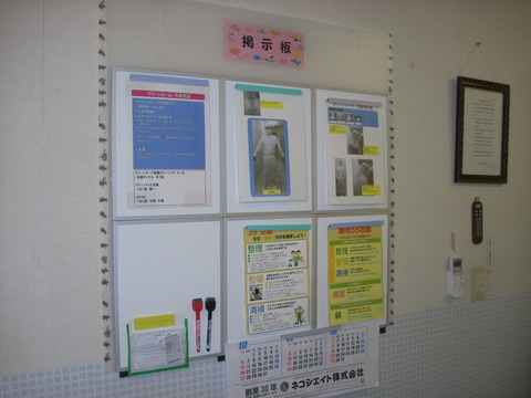 DSCN3869