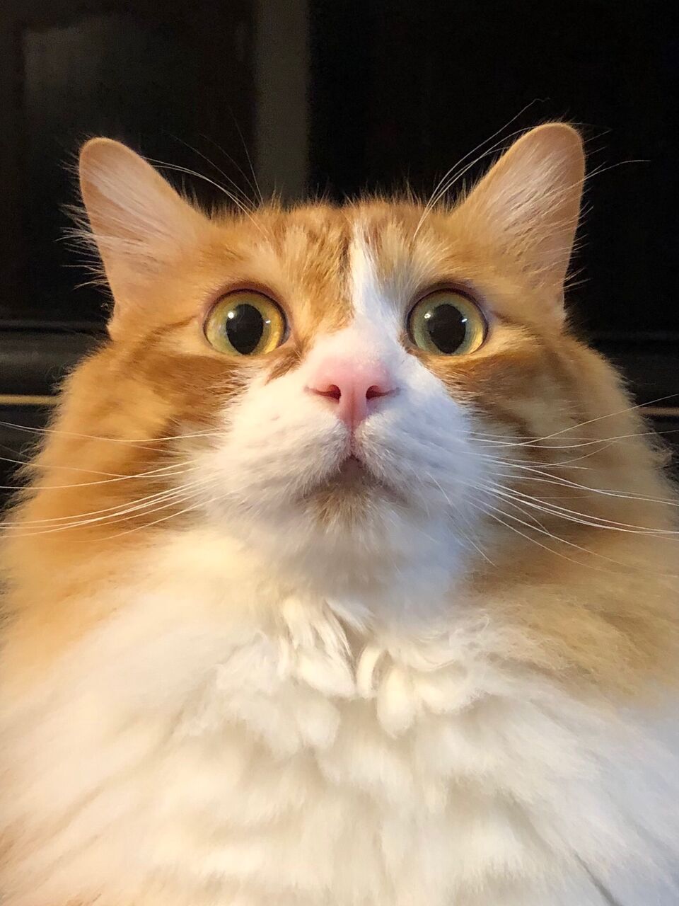 村上晴彦 : 続・日々修行