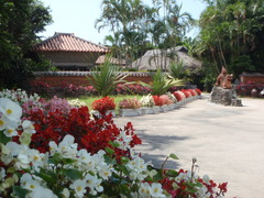 P4230692