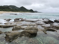 IMG_2810