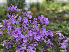 IMG_9071 ԽѤߡ
