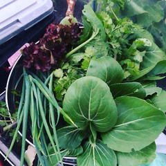 DF49C7A6-D2E8-4FFA-816F-BC94E46578FA