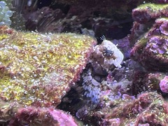 IMG_20220117_215356