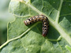 e4969cab4166cd733112711d6ae9986a