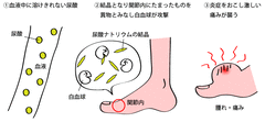 tsufu2