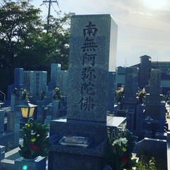 2E28A791-78BF-43B5-9FCC-1DBFF8F0FF91