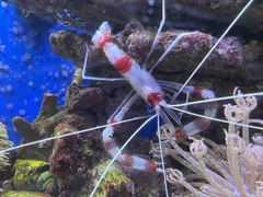 IMG_20220117_215442