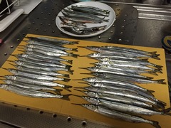 5233870E-73E8-401E-A5B2-9D2D164BD256