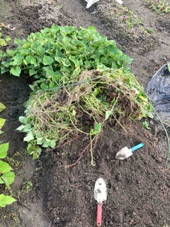 5B75ED8A-B4FD-409E-9231-83985391999C