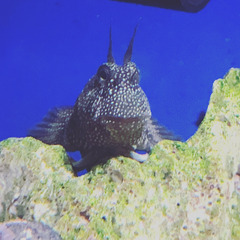 FD07C081-1254-4E73-80F8-705806314035