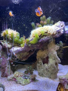 IMG_20220117_214953