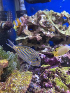 IMG_20220117_215128