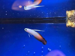 IMG_20220117_215322