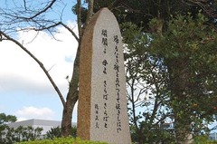 5026409