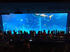 IMG_0132
