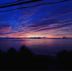 IMG_1289