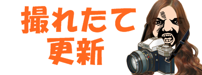 撮れたて更新