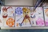 みなみけのほん