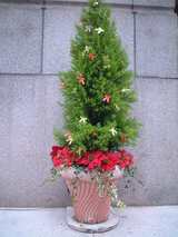 【xmas1】高島屋別館2