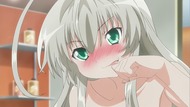 ty282