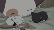 ty042