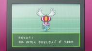 ty296