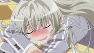 ty227