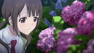 ty040