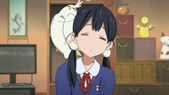 ty137