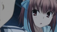 ty231