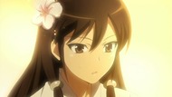 ty249