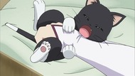 ty034