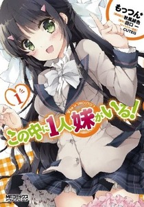 この中に1人、妹がいる! 1 (MFコミックス アライブシリーズ)