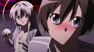 ty241