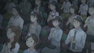 ty241