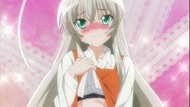 ty040