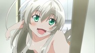 ty271