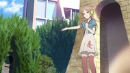 ty234