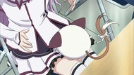 ty116