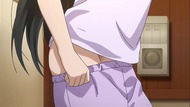 ty242