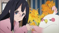 ty_146