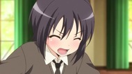ty241