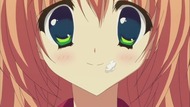 ty224