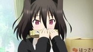 ty146