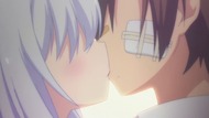 ty241