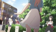ty244