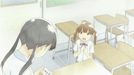 ty081